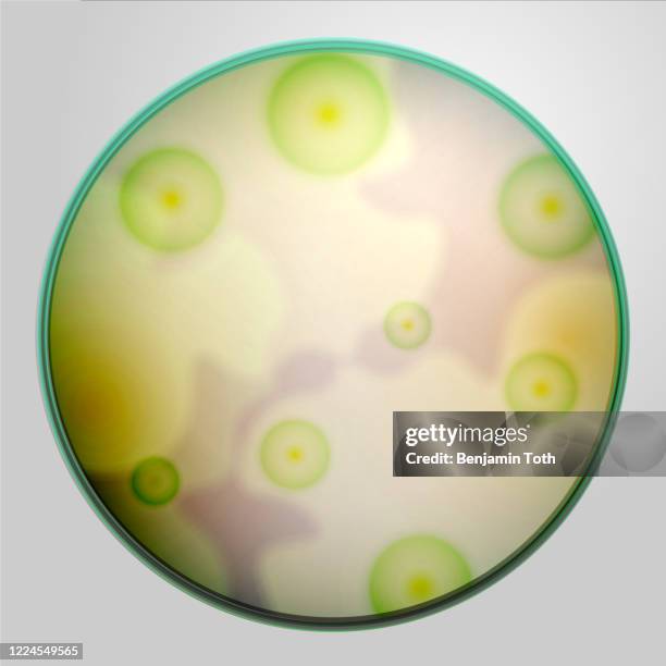 illustrazioni stock, clip art, cartoni animati e icone di tendenza di piastra di petri con agar e muffa, funghi - micologia