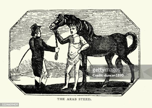 horse dealer buying a arab stallion horse, 18th century - breeder stock illustrations