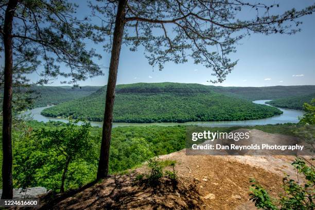 aerial view of river steam amidst forest - atlanta tree stock pictures, royalty-free photos & images