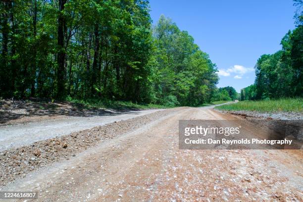 dirt road amidst forest - atlanta georgia country stock pictures, royalty-free photos & images