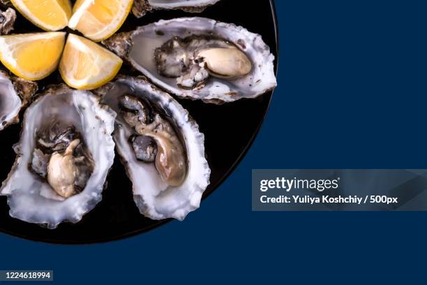 plate with oysters and lemon slices, paris, france - afrodisíaco fotografías e imágenes de stock