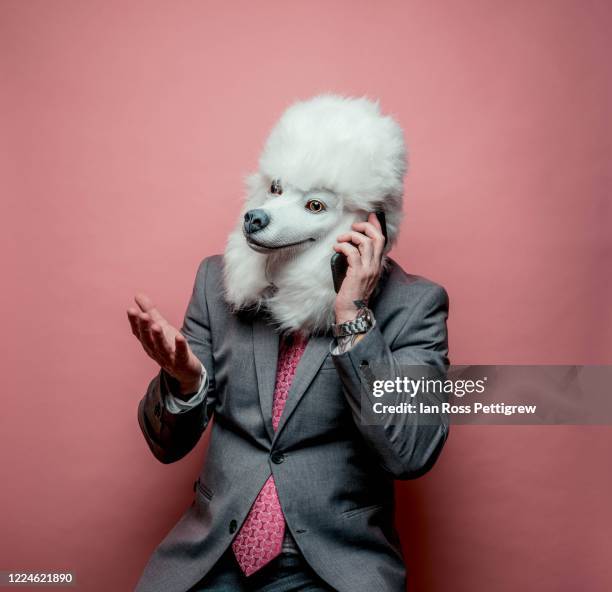 businessman wearing poodle dog mask using smartphone - dog mask stockfoto's en -beelden