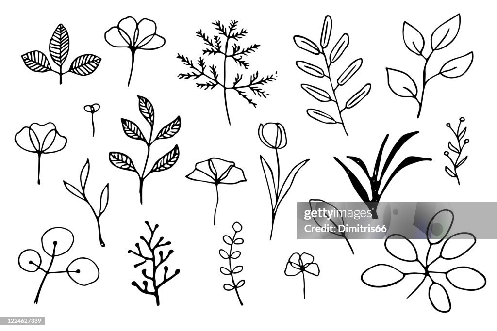 Met de hand getekende planten