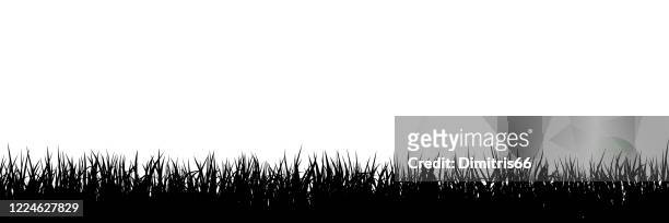 ilustraciones, imágenes clip art, dibujos animados e iconos de stock de silueta de hierba fondo sin costuras - brizna de hierba