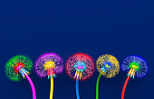 Bouquet of five flowers of blossoming dandelions of unusual colorful colors. Bright multi-colored abstract dandelions on a blue background. Creative conceptual illustration. opy space. 3D render