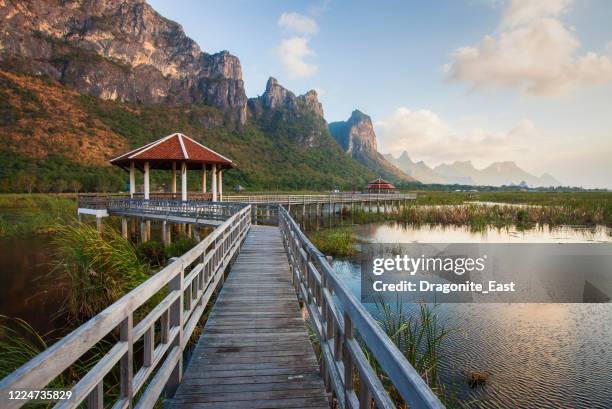 landschap van houten brug en meer in sam roi yod national park, prachuap khiri khan, thailand - hua hin stockfoto's en -beelden