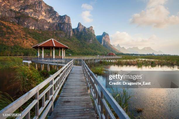 paisagem de ponte de madeira e lago no parque nacional sam roi yod, prachuap khiri khan, tailândia - hua hin thailand - fotografias e filmes do acervo