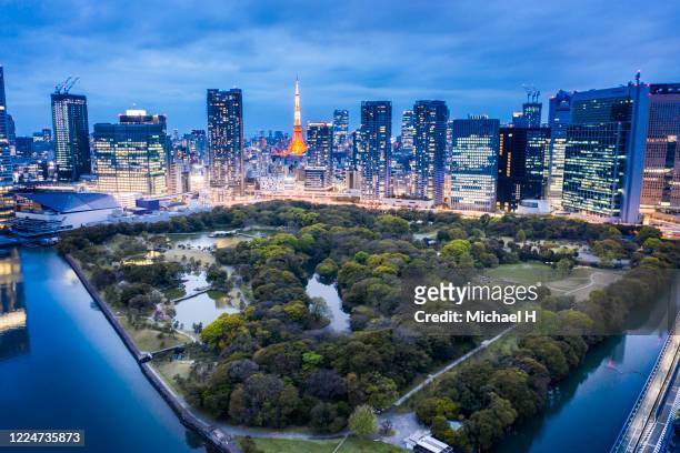 aerial view of hamarikyu gardens and tokyo tower - tokyo 個照片及圖片檔