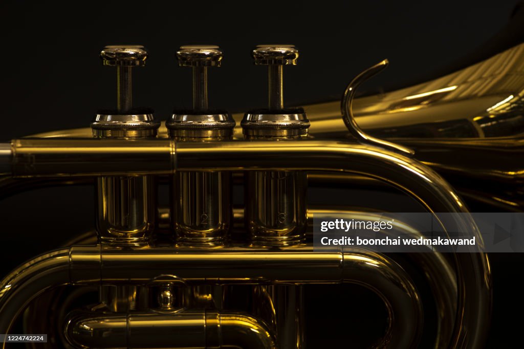Classical cornet instrument isolated from a black background.