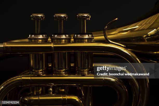 classical cornet instrument isolated from a black background. - clarín fotografías e imágenes de stock