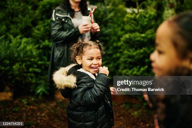 young girl eating candy cane while shopping for christmas tree with family - african people buying a christmas tree stockfoto's en -beelden