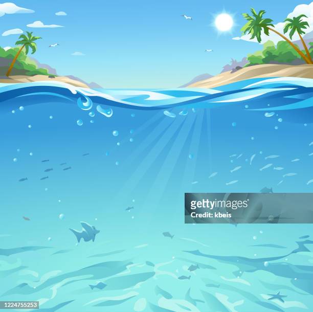 tropisches meer unter und über wasser oberfläche - meer stock-grafiken, -clipart, -cartoons und -symbole