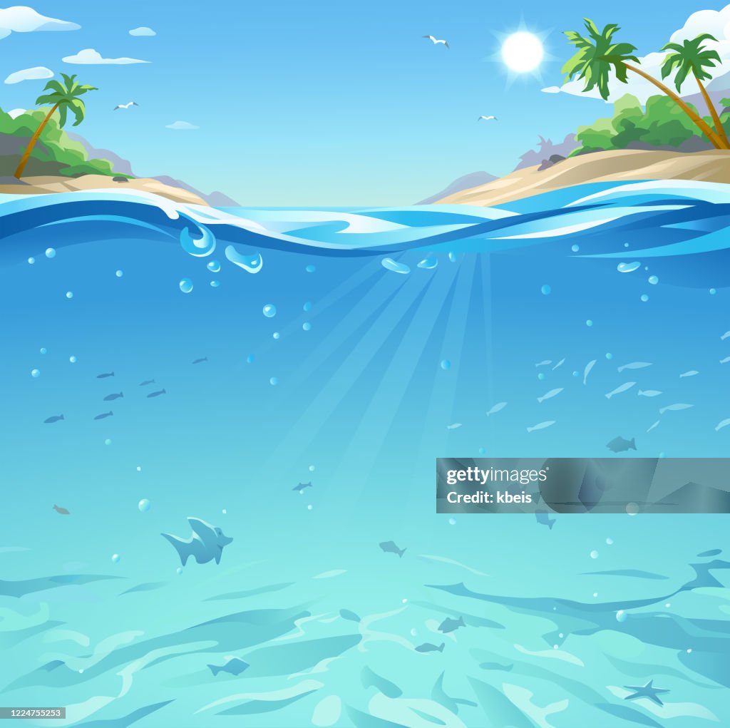 Superficie del mar tropical bajo y por encima del agua