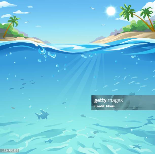 6 522点の海中イラスト素材 Getty Images 6 522点の海中イラスト素材 Getty Images