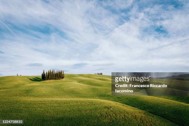 tuscany, springtime with green meadow and cypress trees - valley foto e immagini stock