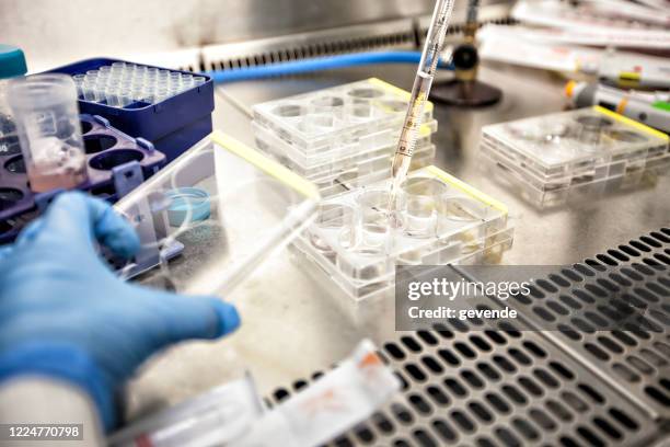 lab equipment detail - covid 19 research stock pictures, royalty-free photos & images