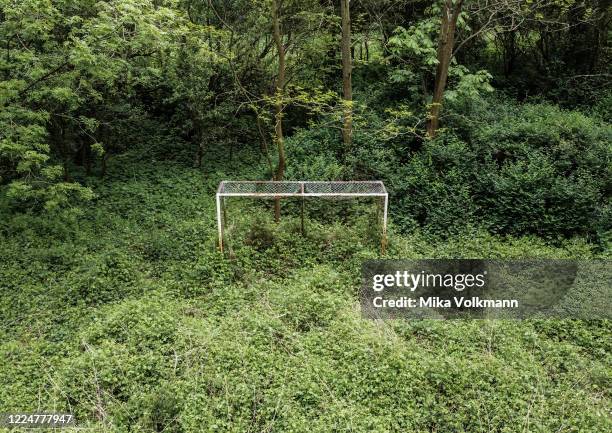 This aerial view shows an old overgrown amateur soccer field in district Merkenich on May 3, 2020 in Cologne, Germany.