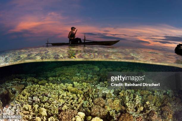 canoe over coral reef at sunset, new ireland, papua new guinea - dugout canoe ストックフォトと画像