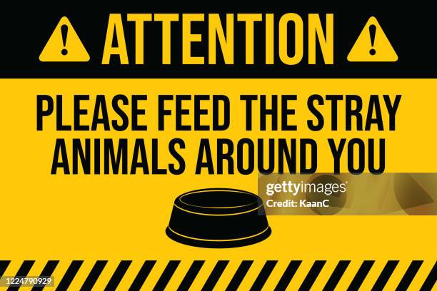 please feed the stray animals. covid-19 outbreak influenza as dangerous flu strain cases as a pandemic concept banner flat style illustration stock illustration - feed stray cat stock illustrations
