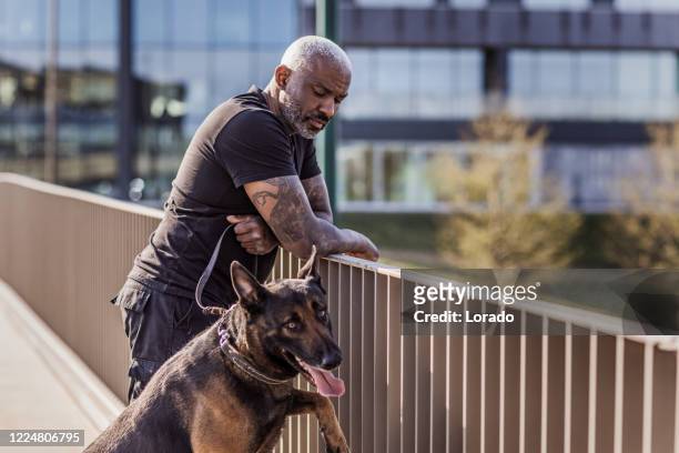 handsome black middle aged security agent working with guard dog on patrol - military dog stock pictures, royalty-free photos & images