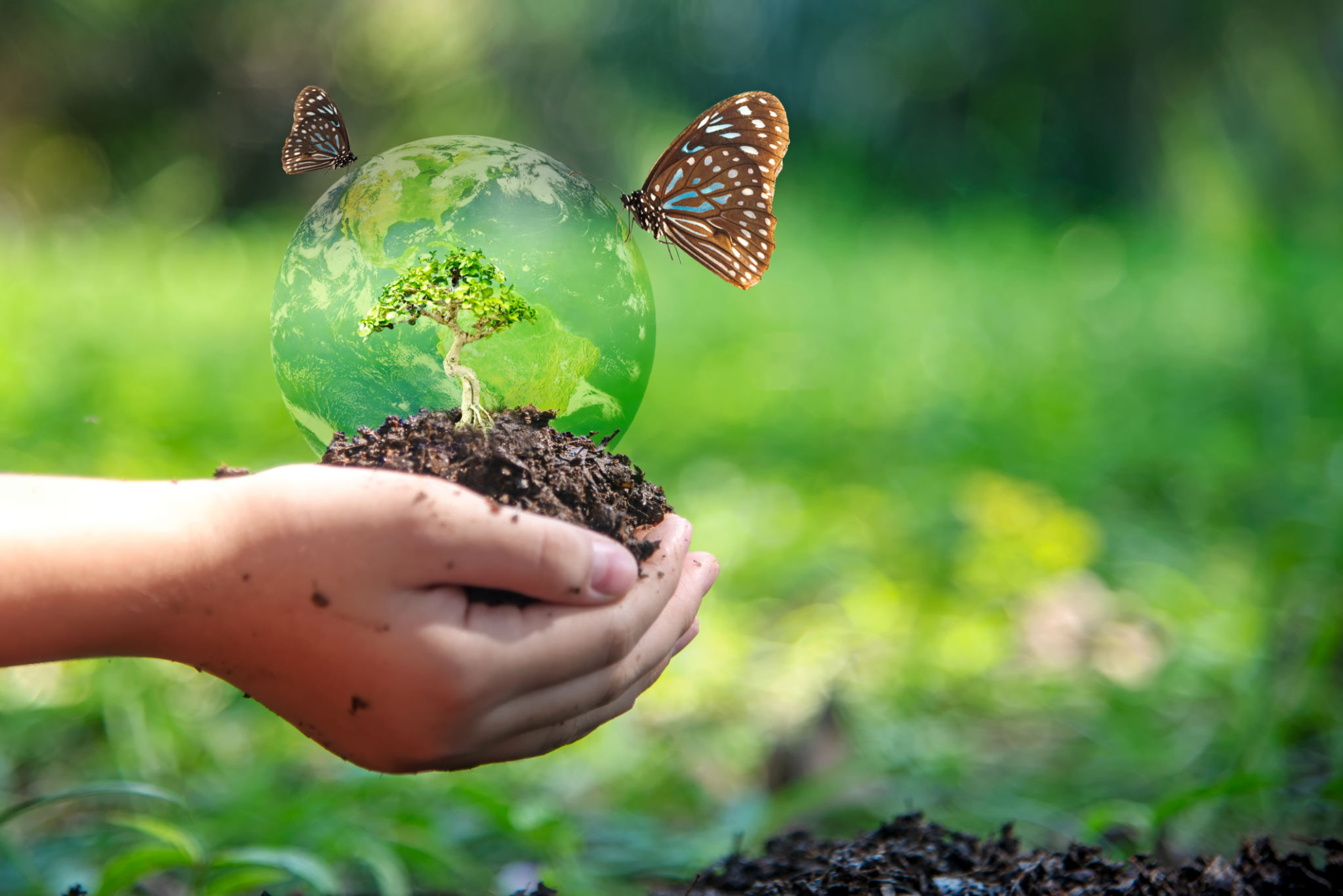 biodiversity preservation