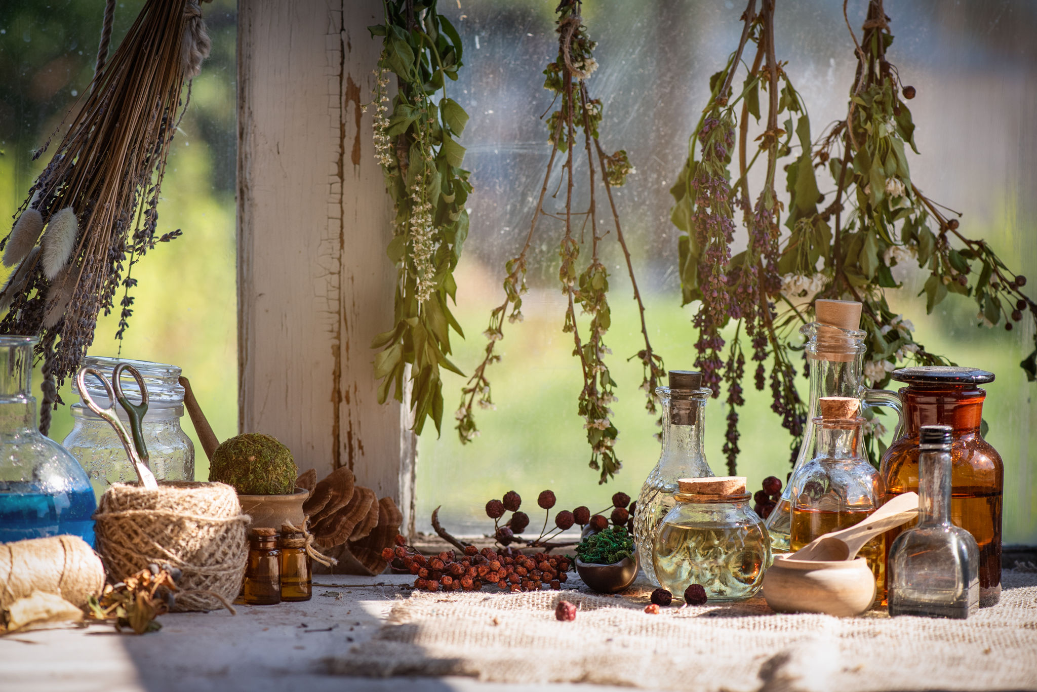 witchcraft herbs