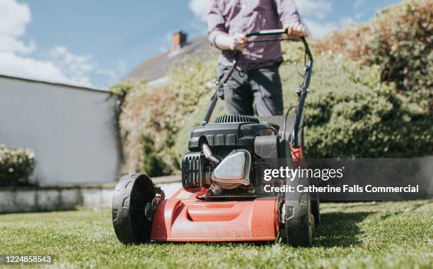 mowing the lawn - handgrasmaaier stockfoto's en -beelden