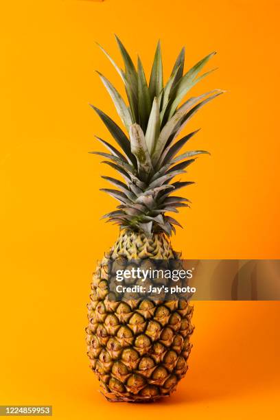 pineapple on yellow background - abacaxi - fotografias e filmes do acervo