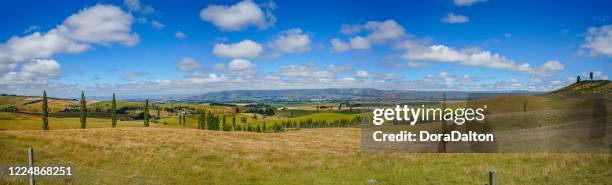 a ranch at geraldine-fairlie highway, new zealand - farm panoramic stock pictures, royalty-free photos & images