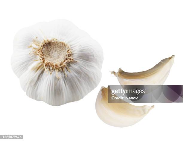 close-up of garlic clove on white background - garlic ストックフォトと画像