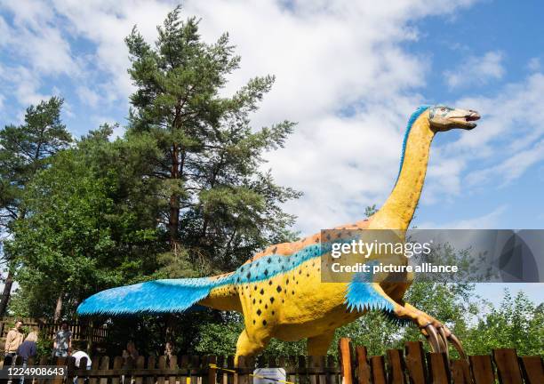 July 2020, Lower Saxony, Rehburg-Loccum: A new life-size model of a therizinosaurus can be found in the Münchehagen Dinopark. The more than nine...
