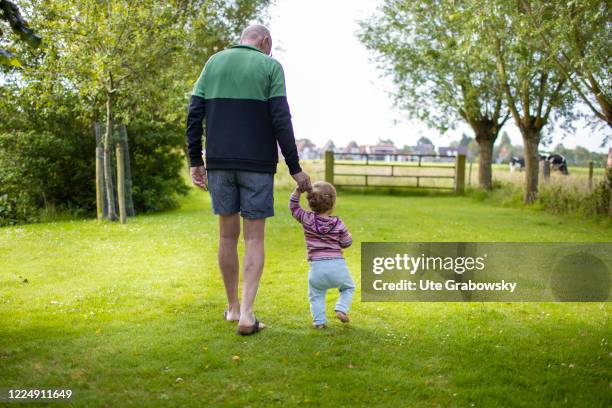 In this photo illustration agrandfather is walking with his grandchild on June 20, 2020 in Oostkapelle, Netherlands.