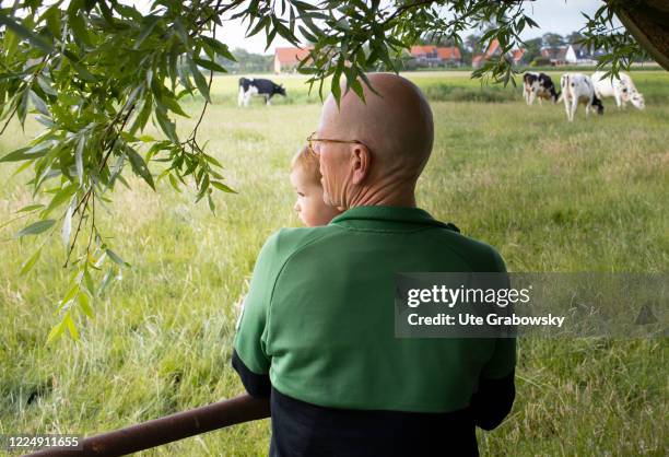 In this photo illustration a grandfather with his grandchild is looking at some cows on June 20, 2020 in Oostkapelle, Netherlands.