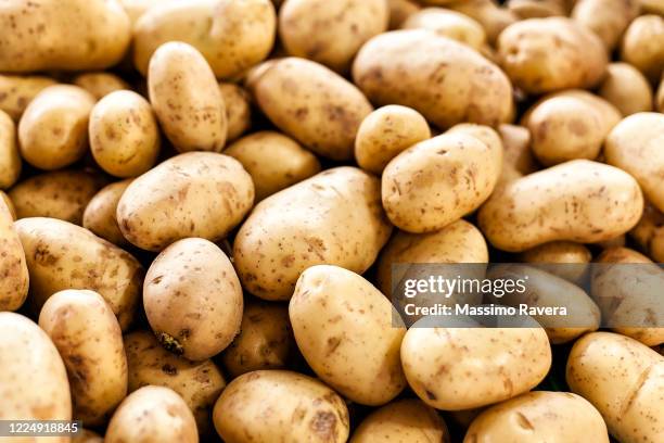 farmers market - organic potatoes - patata cruda foto e immagini stock