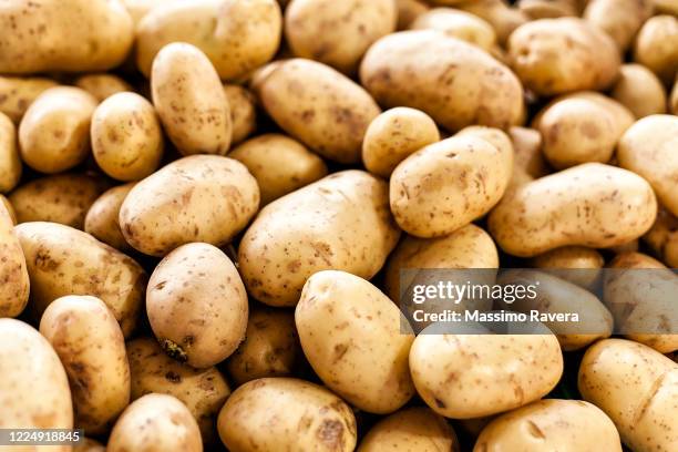 farmers market - organic potatoes - raw potato 個照片及圖片檔