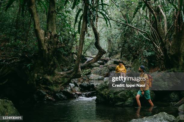 father and child in jungle, amami oshima island, japan - kagoshima prefecture fotografías e imágenes de stock