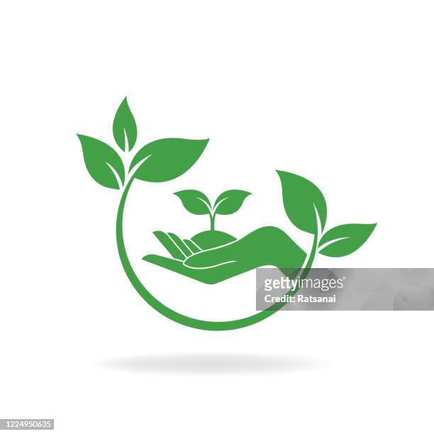 eco friendly - plant stem stock illustrations