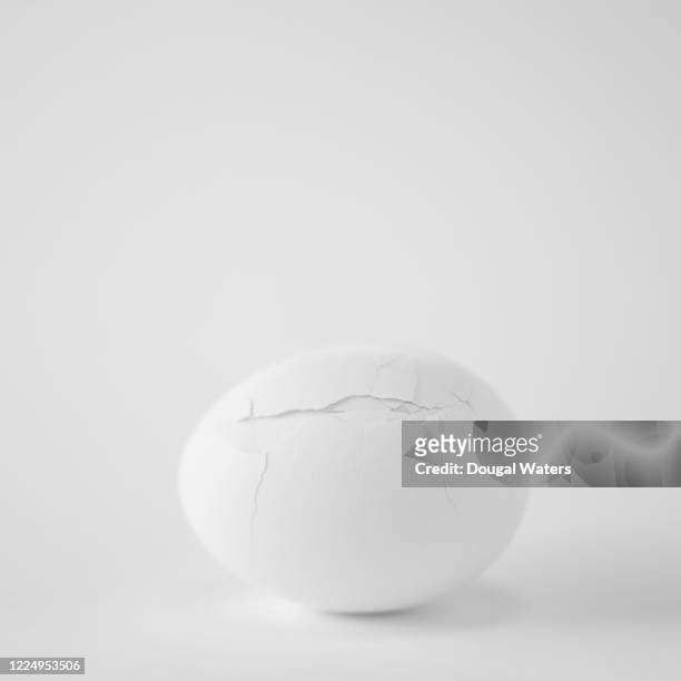 white chicken egg with cracked shell on white background, close up. - hatching - fotografias e filmes do acervo