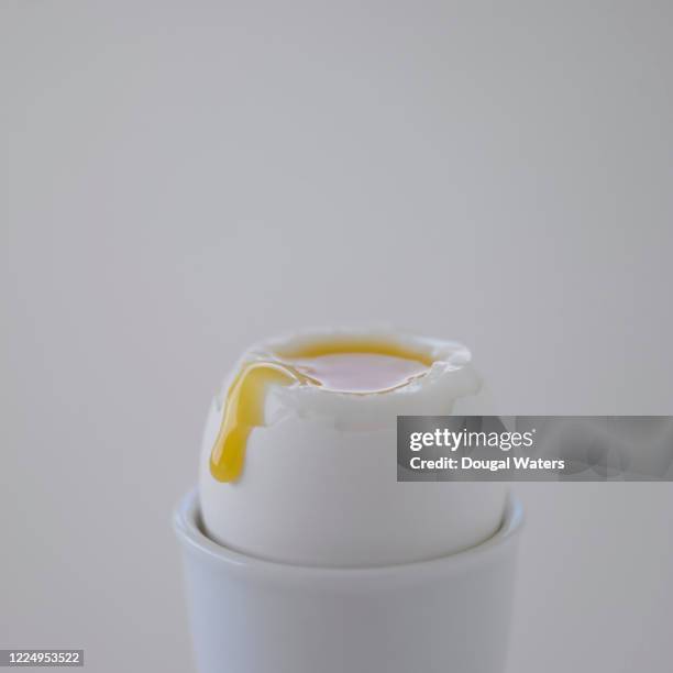 boiled chicken egg with runny yolk on white background. - dotter stock-fotos und bilder