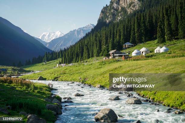 altyn arashan is a beautiful alpine forest in south-east of issky kul lake, kyrgyzstan - kirgisistan stock-fotos und bilder