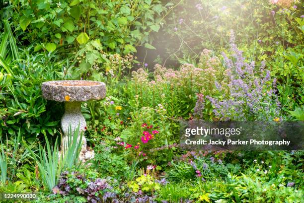 a beautiful summer, english cottage garden with a stone bird bath garden feature - cottage garden stock pictures, royalty-free photos & images