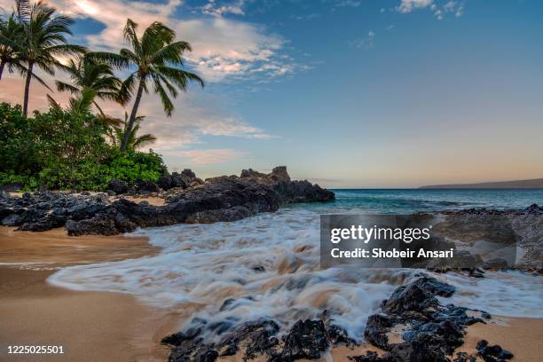 75 Makena Cove Maui Stock Photos High Res Pictures And Images Getty 75-makena-cove-maui-stock-photos-high-res-pictures-and-images-getty