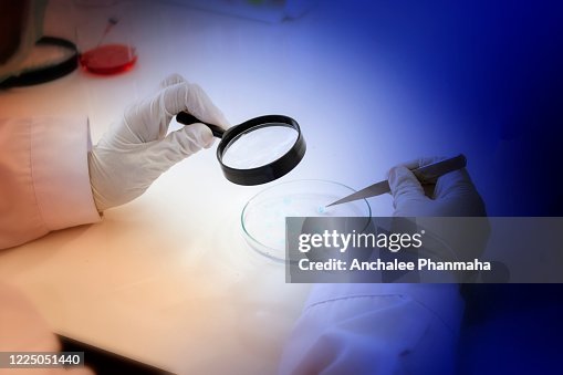 A microbiologist performs Bacteriological testing in the Laboratory A microbiologist performs Bacteriological testing in the Laboratory