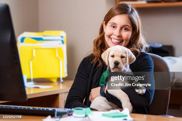 woman with her foster guide dog puppy at her work - guide dog stock pictures, royalty-free photos & images