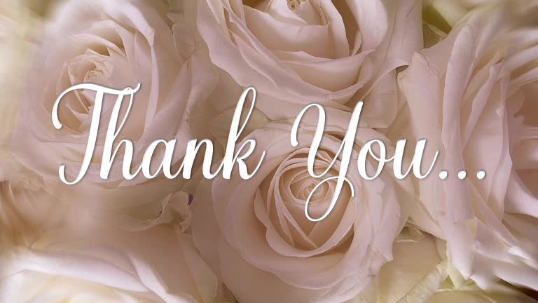 266 Thank You Card Videos and HD Footage - Getty Images 266 Thank You Card Videos and HD Footage - Getty Images