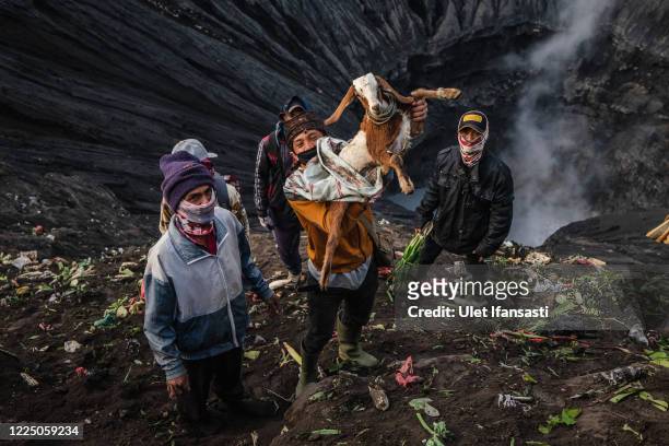 Man holds a goat caught after being thrown by Tenggerese during the Yadnya Kasada Festival at crater of Mount Bromo amid the coronavirus pandemic on...