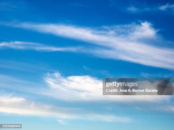 full frame of the low angle view of white color clouds  with a blue sky. - high noon stock-fotos und bilder