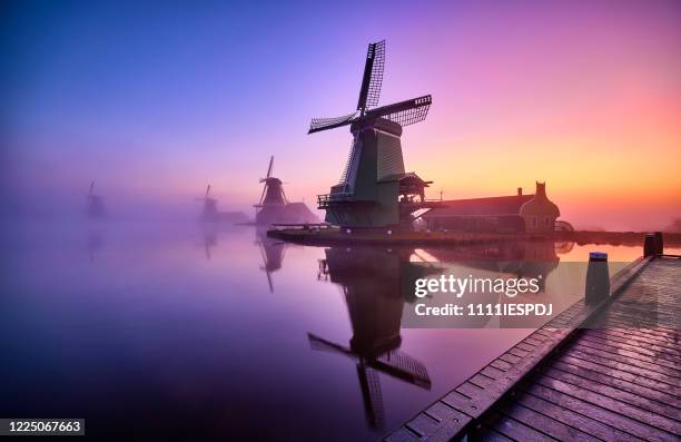 traditional dutch windmills in the mist during sunrise along a canal at the zaanse schans in the netherlands. - dutch windmill stock pictures, royalty-free photos & images