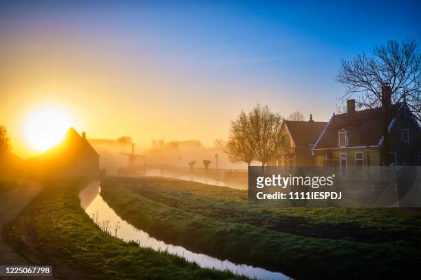 traditional dutch houses in the mist during sunrise at the zaanse schans in the netherlands. - dutch culture stock pictures, royalty-free photos & images