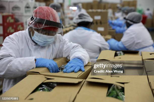 Worker stacking food boxes is seen during a tour at the distribution center of Coastal Sunbelt Produce May 15, 2020 in Laurel, Maryland. Ivanka...